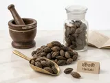 হরতকী